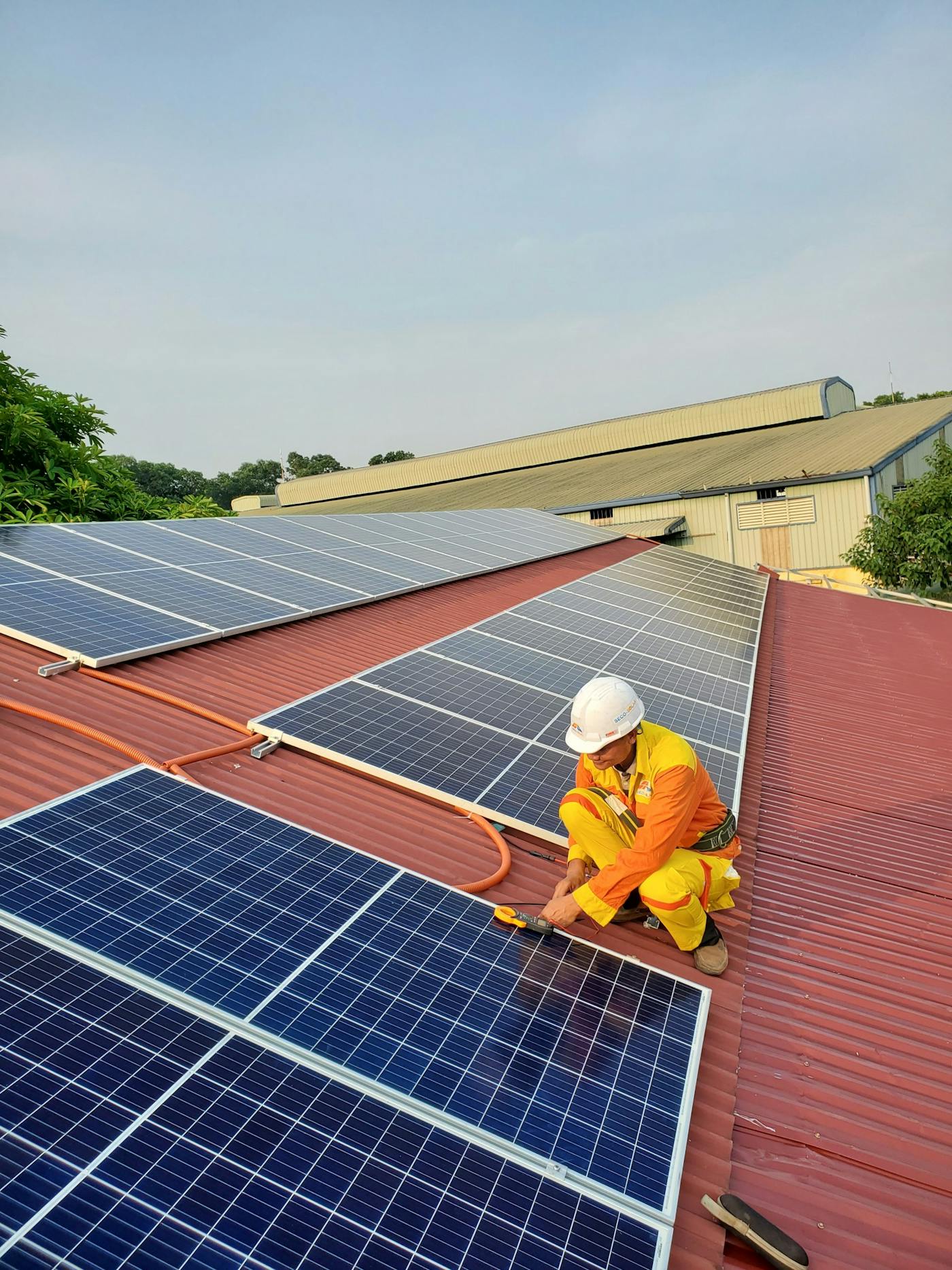 Solar panels in a renewable energy field